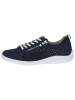 Caprice Sneaker in OCEAN SUEDE