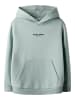 name it Hoodie NKMBRODY LS NREG SWEAT WH BRU in jadeite
