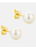 Diamant L'éternel Ohrringe aus 375 Gelbgold mit Perle