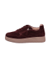 Gabor Sneaker Low in bordeaux