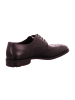 LLOYD Business Schnürschuhe in Schwarz