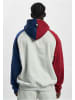 Ecko Unltd. Ecko Unltd. Kapuzenpullover in grey/red/blue