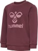 Hummel Hummel Crew Suit Hmlarine Kinder in CATAWBA GRAPE