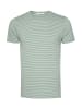 GreenBomb Spice Basic in Bamboo Stripes
