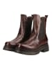 Nero Giardini Stiefelette in Braun
