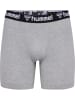 Hummel Hmlboxers Lebensstil Herren in GREY MELANGE