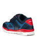 Geox Sneaker in Navy/Rot