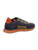 Cetti Sportliche Schnürschuhe in Blau