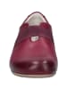 Josef Seibel Halbschuh Fiona 81 in berry