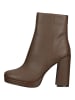 Steve Madden Stiefelette in Dunkelbraun