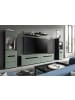 Inn.Furn Wohnwand Salbei grün, grau, Set 4-teilig 270 cm hängend oder stehend, Soft-Close