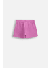 Coccodrillo Kurze Baumwollshorts in violett