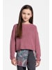 Coccodrillo Strickpullover in gedämpftes Rosa