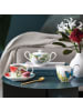 Villeroy & Boch 2er Set Milch- und Zucker-Set Amazonia Anmut in bunt