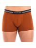 Abanderado Boxershorts in Brown