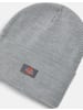 Dickies Mütze "Acrylic Cuffed Beanie" in Grau
