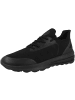 Geox Sneaker low U Spherica Actif A in schwarz