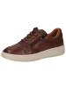 Caprice Sneaker in COGNAC SOFTNAP