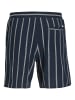 Jack & Jones Shorts Jaiden Coba Stripe in marine ecru - 0002