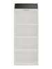 58 aufm Kessel JALOUSIESCHRANK Eadith 69 x 44 x 192 Rollladenschrank Weiß Matt Lack/Graphit