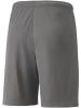 Puma Sporthose "TeamLIGA Shorts" in Grau