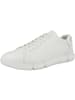 Geox Sneaker low U Adacter A in weiss