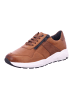 Solidus Sneaker Low in braun