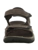 Teva Sandale in braun