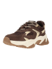 Steve Madden Sneaker AMPLE in Braun
