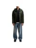 Jack and Jones JJEKINGSLEY Light Puffer Hood NOOS in Dunkelgrün