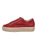Paul Green Sneaker Wine