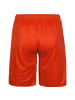 Puma Shorts Liga in rot / weiß