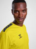 Hummel T-Shirt Hmlauthentic Multisport Herren in BLAZING YELLOW