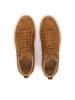 Kazar Sneaker Low in Braun