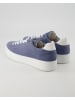 Gabor Comfort Sneaker low in Blau