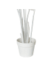 Beliani Kunstpflanze BANANA TREE in Weiß - (W) 60 x (H) 123 x (L) 60 cm