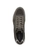 Geox Sneaker low U Damiano A in dunkelgrau