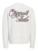 Jack & Jones Strickpullover in Sea Salt