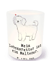 Mr. & Mrs. Panda Outdoor Windlicht Malteser Lebensretter mit Spruch in Transparent