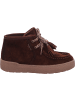 Tamaris Stiefelette in MUSCAT