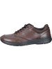 Ecco Schnürschuhe in brown
