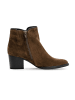Gabor Ankle Boots in Braun