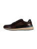 Redskins  Sneakers aus Leder Callias Braun