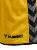 Hummel Hummel Poly Kurze Hose Hmlauthentic Multisport Damen Leichte Design Schnelltrocknend in SPORTS YELLOW/BLACK