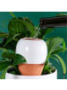 relaxdays 2 x Tonkegel in Terrakotta/ Weiß - 350 ml