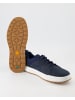 Timberland Sneaker in Blau