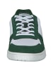 Lacoste Klassische- & Business Schuhe in WHT/DK GRN