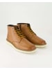 Geox Stiefeletten in Braun