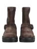 Geox Stiefelette KLARGENA in Dunkelbraun