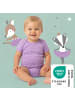 Schlummersack Bio Baby-Bodys kurzarm 5er-Pack in Mint-Lila